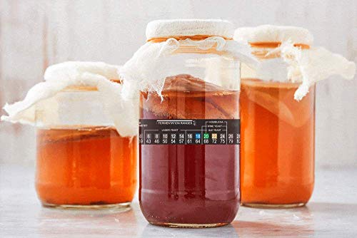 Miniatura 3 de 5 Unidades De Termómetro Para Cerveza Casera De 2 A 36 C De Temperatura Del Vino