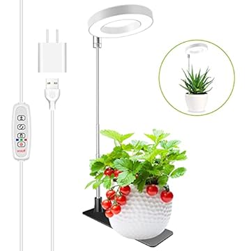 Illuminate Your Space with These Indoor Plant Stands for Succulents 2 best indoor plant stand with lights for succulents