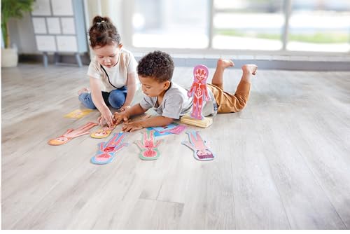 Hape Puzzle Magnetico Del Corpo Umano – Set Di Puzzle Tematici Per Bambini, Gioco Di Logica E Sviluppo Delle Abilità Motorie - 2