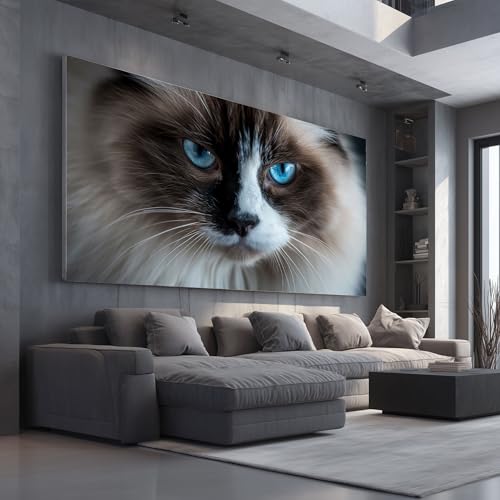 Tableau chat photo artistique 50x100cm sans cadre déco salon