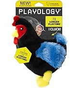 Playology Plush Toys for Dogs | Stuffed Animal Hen | Chicken Scented for Medium Dogs