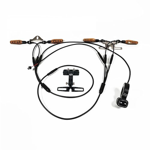 CHAOZHU Elektrisches Fahrrad 36V 48V 52V 72V Lenklicht Set Kit Schalter Links Rechts Turn (V03 24-48V M6)