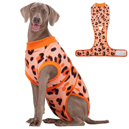 Image of Kuoser Dog Recovery Suit for Dogs After Surgery,Professional Surgical Onesie for Female Male Dogs Spay Neuter,Soft Dog Surgery Suit Bodysuit for Abdominal Wounds Skin Disease,Orange XL