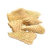 ハチノス 国産 黒毛和牛 1㎏ 【 和牛 ホルモン 牛肉 】 和牛市場