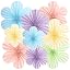 Colourful Flowers