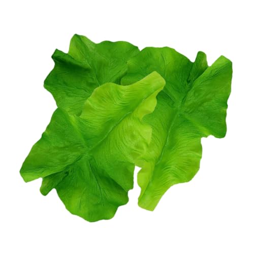 NOLITOY 3V~[V^X̗tf ̐lH p XgtHgvbvX HiTv ؂̏