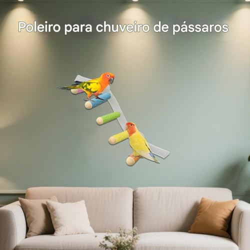 Polícia de pãete, poleiro de pássaro, poleiro de pássaro,Escalada de escalada de cockatiel | Pedra d