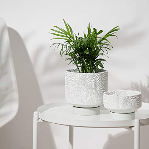 Ubee Ceramic Flower Pots For Indoor Plants | 5.5 Inch + 4.9 Inch Ceramic Plant Pot With Saucer And Drainage Hole | Planter For Aloe, Snake Plants, Pothos, Light Grey With White Glaze Dot #TOP4
