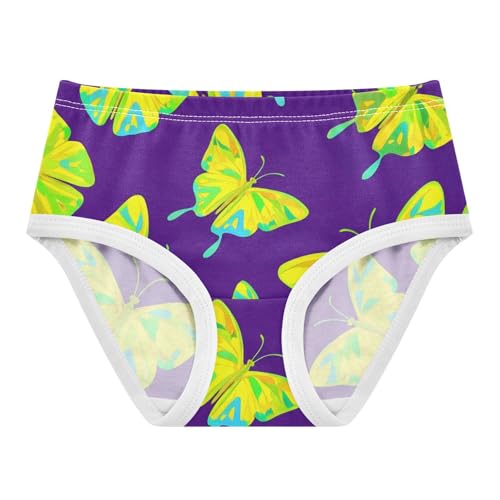 Toddler Underwear Floral 2t Cotton Panties for Girl Funny Kids Undies Briefs Yellow Teal Butterflies Purple