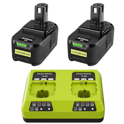 2X 5500mAh Batteries Rechange pour Ryobi 18V One+ et 1 Chargeur Double Port Compatibles avec Ryobi P108, RB18L50, RB18L40, P189, P102, P107, RB18L25, RB18L20,...