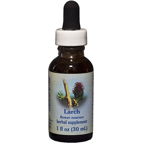 FLOWER ESSENCE SERVICES Larch Dropper, 0.25 oz (Pack of 2)