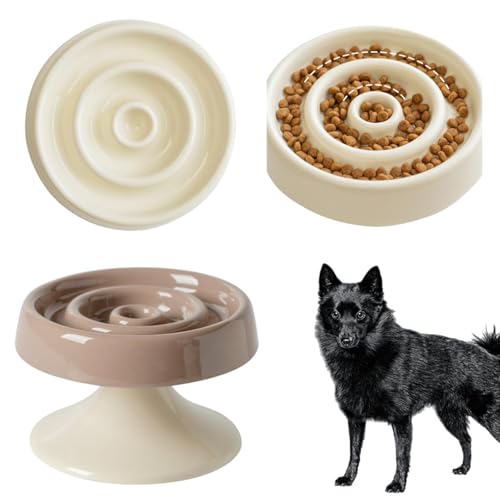 Lifetips �X�L�b�p�[�L�� �X�L�b�p�[ ���L���p ����X���[�t�[�h�{�E�� �ؐ���� ���H���h�~ ����~�� �H��Z�b�g ���^�� �L ������� �􂢂₷�� �i����-�̌^�^�C�v���J�u���E���j