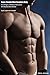 Phicen 1/6 Scale Super Flexible Male Muscular Seamless Body PL2016-M33