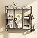 MAHANCRIS LED Gaming Floating Shelves, 3-Tier Wall Mounted Shelf for Wall Storage, Pipe Shelves Hanging Display Rack, with 2 Controller Hooks, for Gaming Room Decor, Kitchen, Home Bar Black FSHS142E01