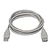 AISENS A101-0014 Verlängerungskabel USB 2.0, 3 m, um EIN USB 2.0-Kabel zu verlängern, geeignet für Konsolenspiele, Digitalkameras, Webcams, Drucker, Maus, Beige