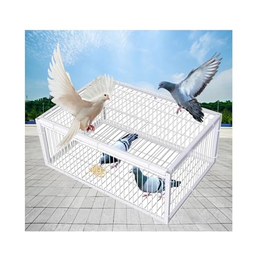 YFAURNDE - YFAURNDE Piège a Moineaux, Cage de Pigeon avec Cage de lucar Convient aux jardins de ferme ouverts, au jardinage, aux pièges sans cruauté(White,60 * 40cm)