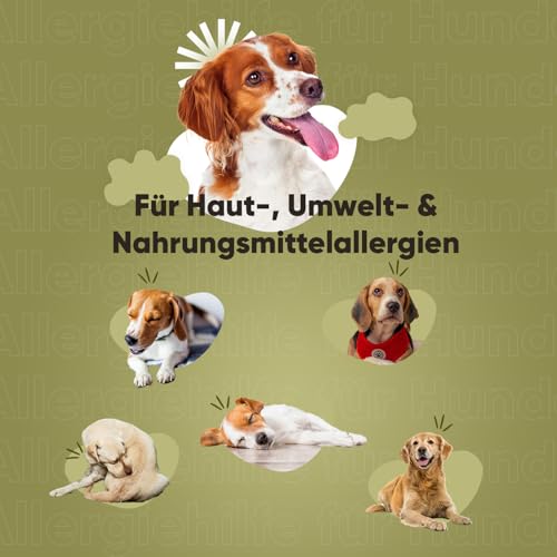 animigo Allergiehilfe für Hunde - 120 Allergie Tabletten für Haut-, Umwelt- & Nahrungsmittelallergien - Mit Kurkuma, Flohsamenschalen, Leinsamen, Traubenkernextrakt, Kürbiskern, Mit Huhn Geschmack