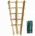SWANGSA 6 Pack Bamboo Trellis 24 Inches for Climbing Plants, Fan-Shaped Bamboo Plant Trellis Cucumber Tomato Trellis with 50pcs Twist Ties for Outdoor and Indoor Potted Plants