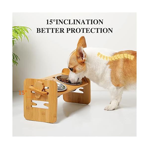 Toozey Elevated Dog Bowls for Small Dogs and Cats, 6 Adjustable Heights Raised Dog Bowl, Elevated Dog Bowl Stand with 3 Stainless Steel Dog Food and Water Bowls, 15° Tilted Bamboo Elevated Cat Bowls Toozey Elevated Dog Bowls for Small Dogs and Cats, 6 Adjustable Heights Raised Dog Bowl, Elevated Dog Bowl Stand with 3 Stainless Steel Dog Food and Water Bowls, 15° Tilted Bamboo Elevated Cat Bowls
