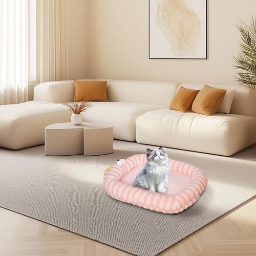 Canapé douillet pour chat pour calmer les nuits de votre chiot