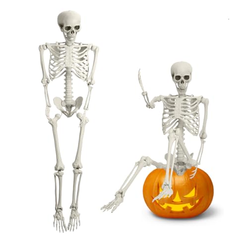 woshapce 5.4ft Life Size Posable Human Skeleton Halloween Decoration 165cm Full Body Plastic Skeleton with Movable Joints Pirate Style Halloween Prop for Haunted House Party Decor (White)