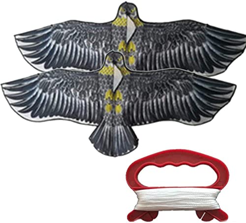 g JCg  ŗg y JCg 쏜 悯 JCg  |点 _앨یpi ̑ hhb΍pi (1.55m)