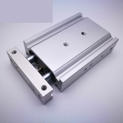 Vérin double tige CXSM20-40 pneumatique double effet course 40mm