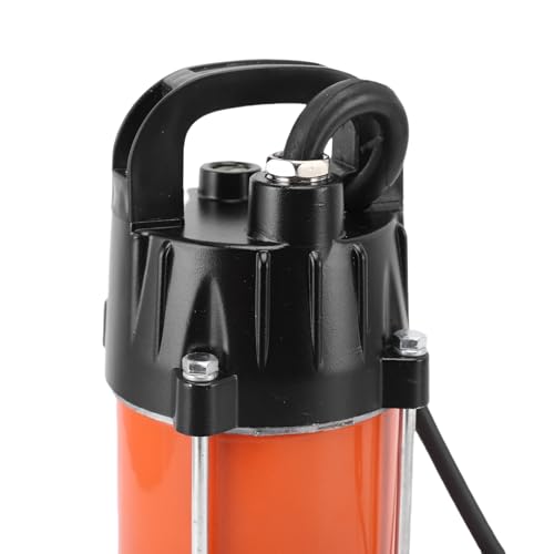 مضخة مياه غاطسة للآبار العميقة من الفولاذ المقاوم للصدأ بقدرة 300W وكابل 2.5 م ومعدل تدفق 4 مم³/س وارتفاع رفع 22 م بمحرك نحاسي عديم المسفرات لري المزارع والمراعي من لوكيوت (تيار مستر 12V).