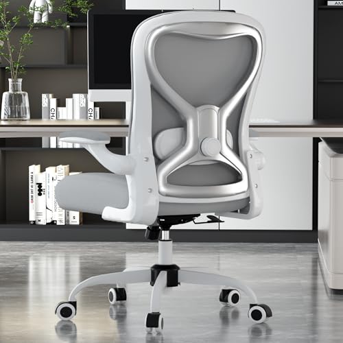 Office Desk Chair with Ergonomic Lumbar Support Ex Review