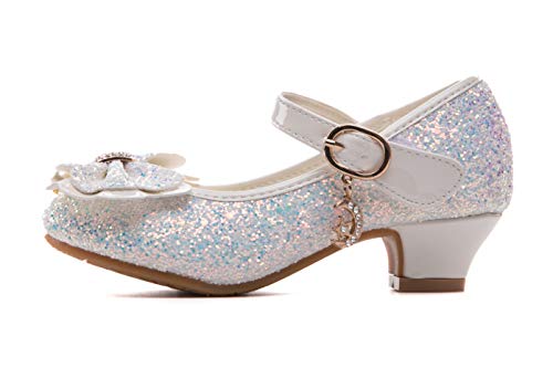 Girls Dress Shoes Glitter Mary Jane Low Heel Princess Flower Wedding Party Dress Pump Shoes for Kids/Toddler2