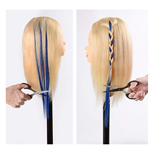 Winsky Blue Clip In Hair Extensions 100% Real Human Hair - Straight Highlights Colored Clip On Christmas Hairpieces 5 Pieces/Set (18Inch, Blue) #TOP5