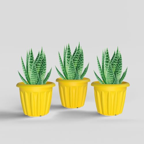 Image of YUCCABE ITALIA SHERA Floot 6 Inch Plastic Flower Pot 3 Piece Set of Round Shape Planter for Home Garden Seedling Planter for pots (Yellow)
