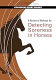 A Review of Methods for Detecting Soreness in Horses