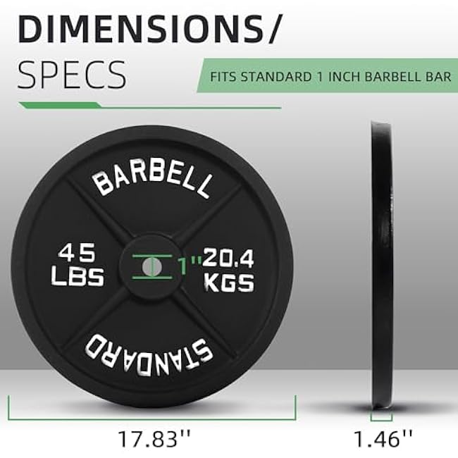 Cast Iron 1-Inch Standard Weight Plate for Strength Training & Weightlifting, Multiple Weights Available