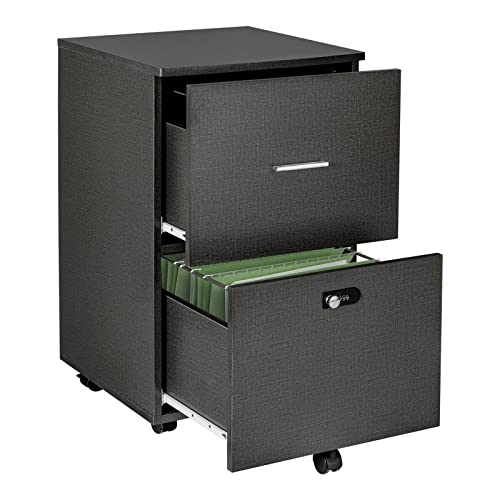 Salfanre 2 Drawer File Cabinet,Filing Cabinets For Home Office,Office File Cabinet 2 Drawer With Lock, Printer Stand,File Cabinet With Shelves,Fits A4 Size,Grey #TOP4