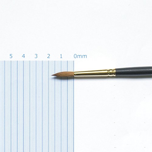 110 series # 06 Rembrandt watercolor brush (japan