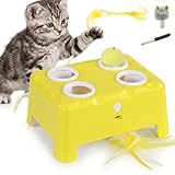 PawHut Interactive Cat Toys for Indoor Kittens & Adult Cats, Rechargeable Automatic Mouse & Feather Teaser Toy, 3 in 1 Play Modes with Smart Rest, Type-C Charging