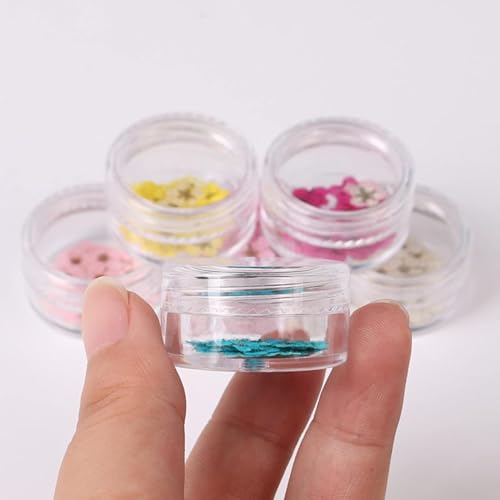 100 piezas de flores secas de narciso prensadas para arte en uñas miniatura 4