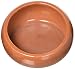 Living World Ergonomic Dish, Terracotta, Large
