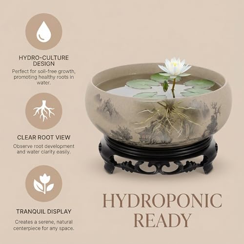 Water Lily Bowl Planter - Narcissus Bonsai Pot Ceramics Hydroponic Lotus Planter Ceramic Water Lily Pot with Stand No Drainage Plant for Plants Display Lucky Bamboo Home Garden Chinese Fish Bowl by Homoyoyo - Used condition - Image 4