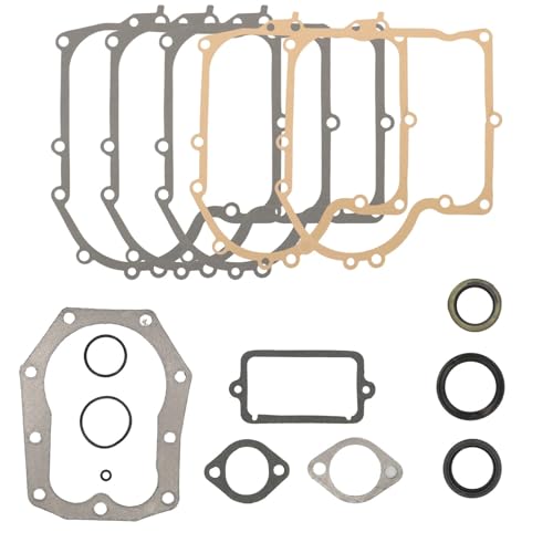Kit joints moteur adapté pour 289707 réparation fuite huile 494525