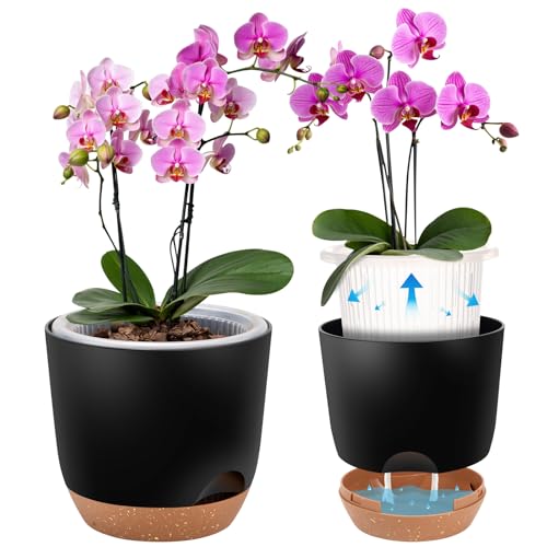 Sxueg Self Watering Orchid Pots for Indoor Plants,5.8 Inch Macetas para Orqudeas,Flower Pots for...