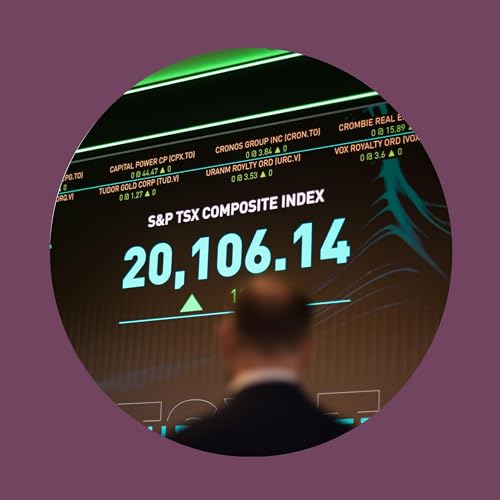 Making sense of a stock market that doesn&rsquo;t make sense right now