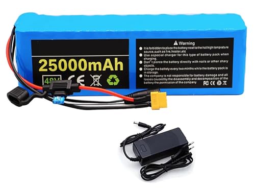 48V 25Ah Elektrofahrrad Batterie Wasserdichter PVC-Akku 48V 13S3P E-Bike Akku Eingebauter BMS Mit Ladegerät Für 200W 350W 500W 800W 1000W Motor 48V 25Ah,XT60+DC