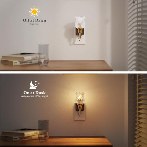 Image of JandCase Night Light, Glass Night Lights Plug into Wall Dimmable | Floral LED Nightlight, 0-100LM Flower Nightlights, Dusk to Dawn Sensor, 1W Vintage Nite Light for Bathroom Hallway Gift Decor