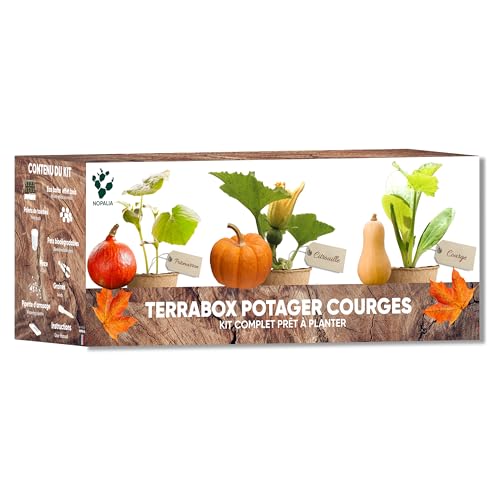 NOPALIA Terrabox Groentezaaiset – pompoenpitten pompoen butternut pompoen pompoen pompoen – moestuin voor binnen en buiten – cadeau-idee voor doe-het-zelf tuinieren – origineel cadeau-idee