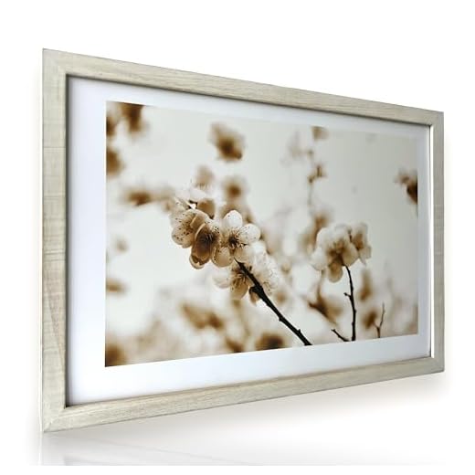 Tapa Cuadro Electrico con Colgador de Llaves Pared - Cubre Contadores de Luz o de Registro Electrico - Adornos de Decoracion Salon Modernos, Hogar Zen