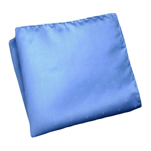 Flairs New York Gentleman s Essentials Weekend Casual Pocket Square Handkerchief (Baby Blue [Glitter Dots])
