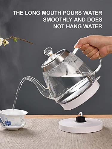 Bouilloire électrique en verre borosilicate transparent et éclairage LED moderne