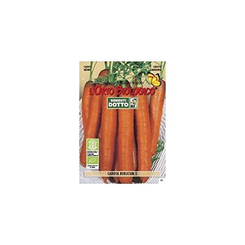Semi biologici di Carota Berlicum 3
